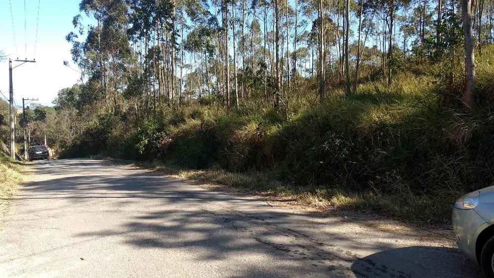 Terreno à venda, 19000M2 - Foto 3