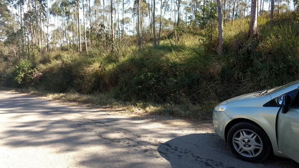 Terreno à venda, 19000M2 - Foto 1