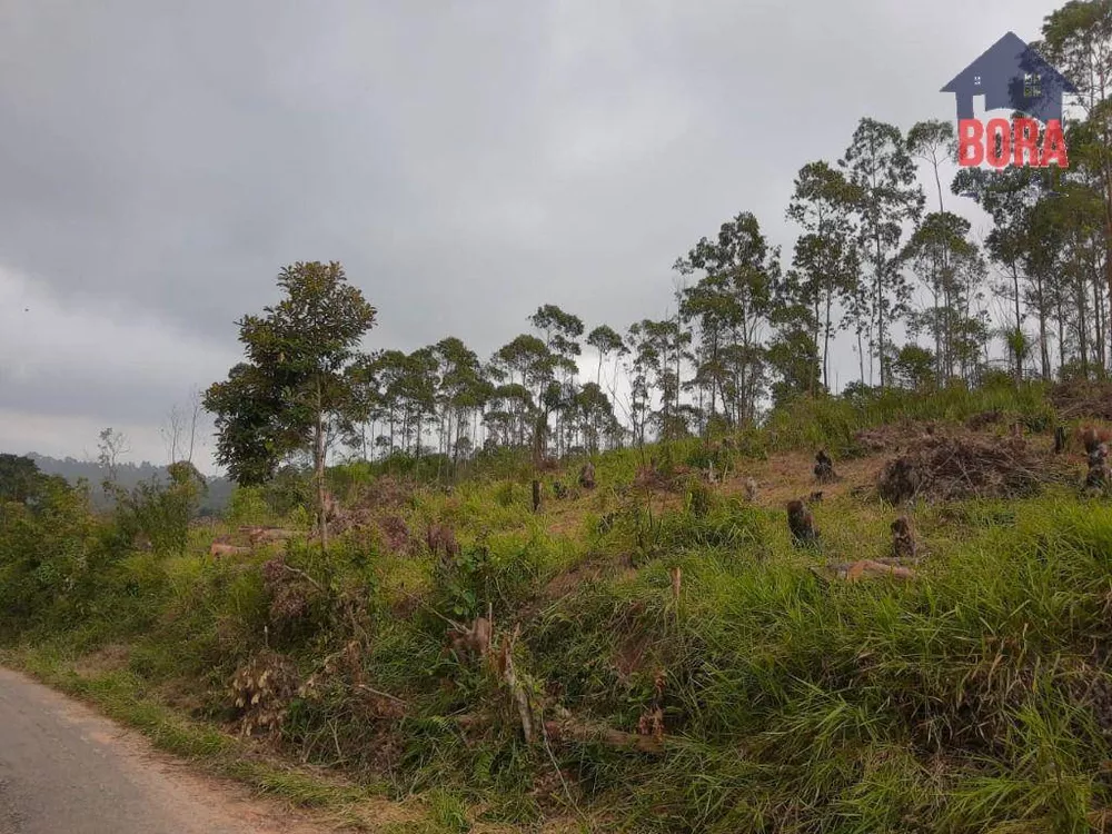 Terreno à venda, 19000M2 - Foto 4