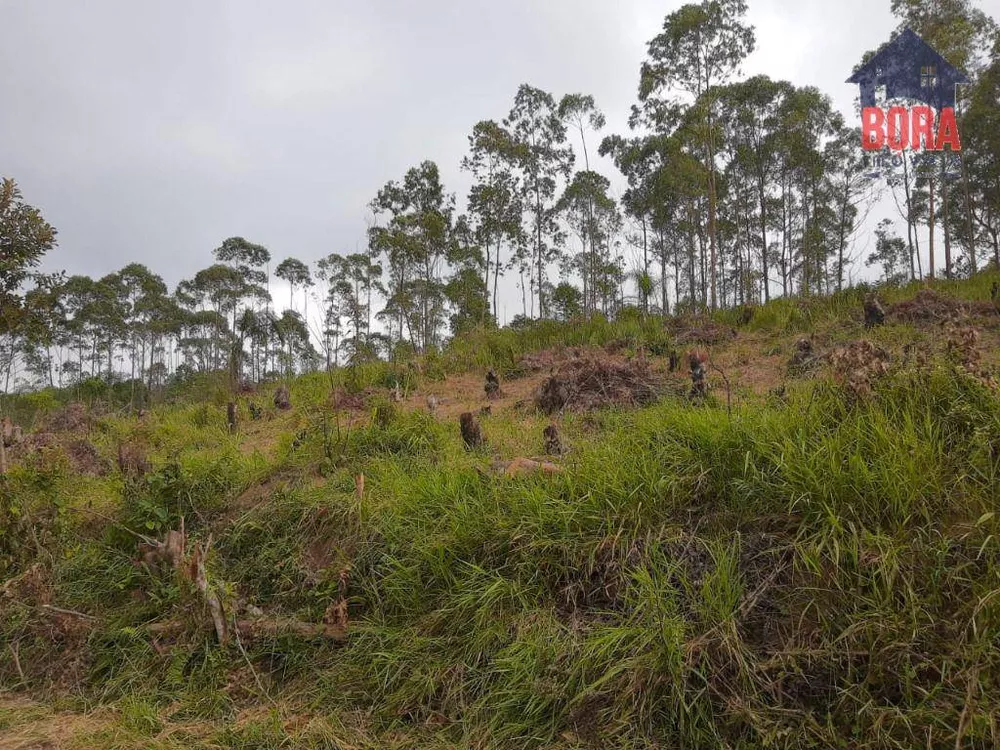 Terreno à venda, 19000M2 - Foto 2