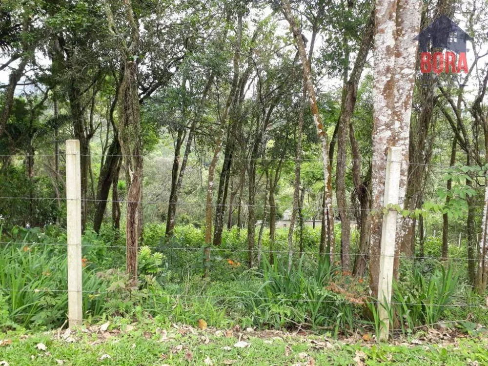 Terreno à venda, 1800M2 - Foto 4