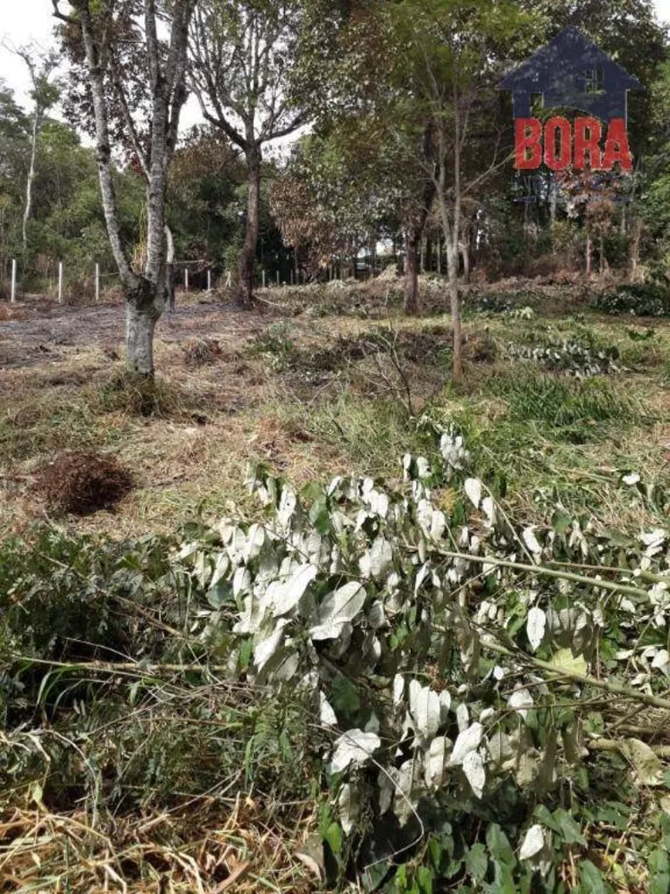 Terreno à venda, 1800M2 - Foto 3