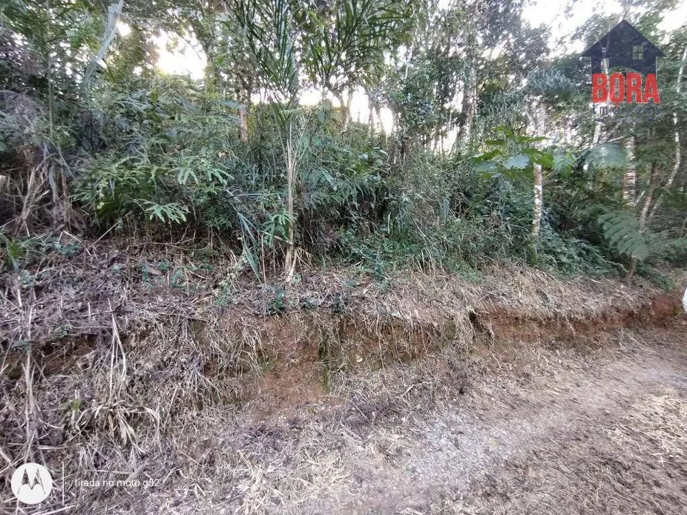 Terreno, 300 m² - Foto 5
