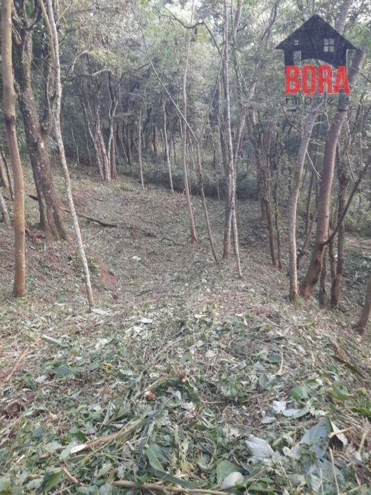 Loteamento e Condomínio, 1900 m² - Foto 5