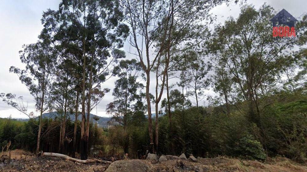 Terreno, 800 m² - Foto 3