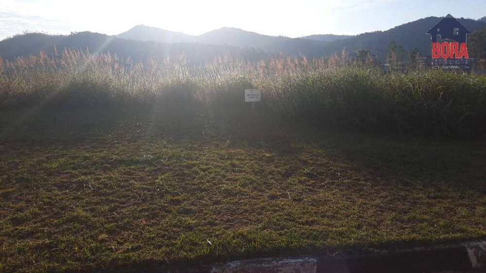 Terreno, 1287 m² - Foto 8