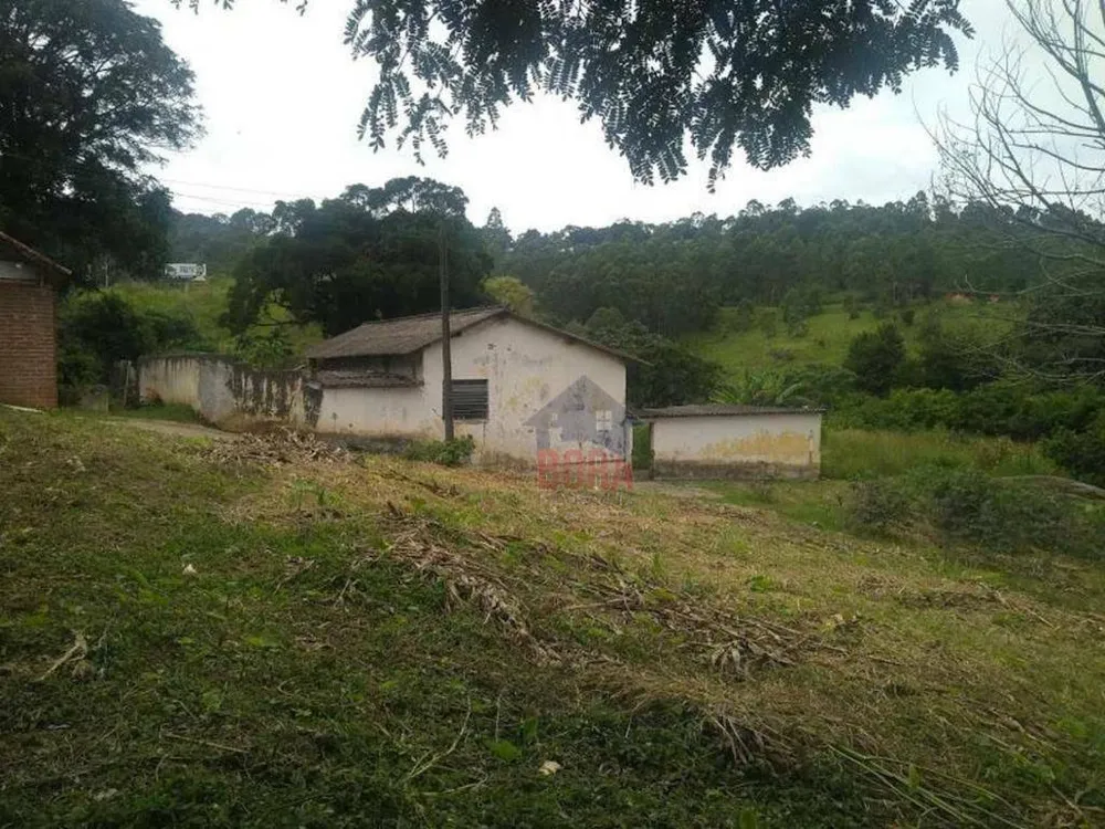 Terreno, 4 hectares - Foto 6