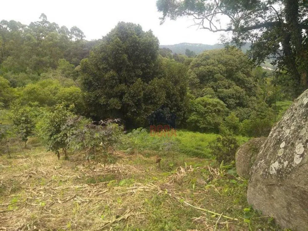 Terreno, 4 hectares - Foto 9