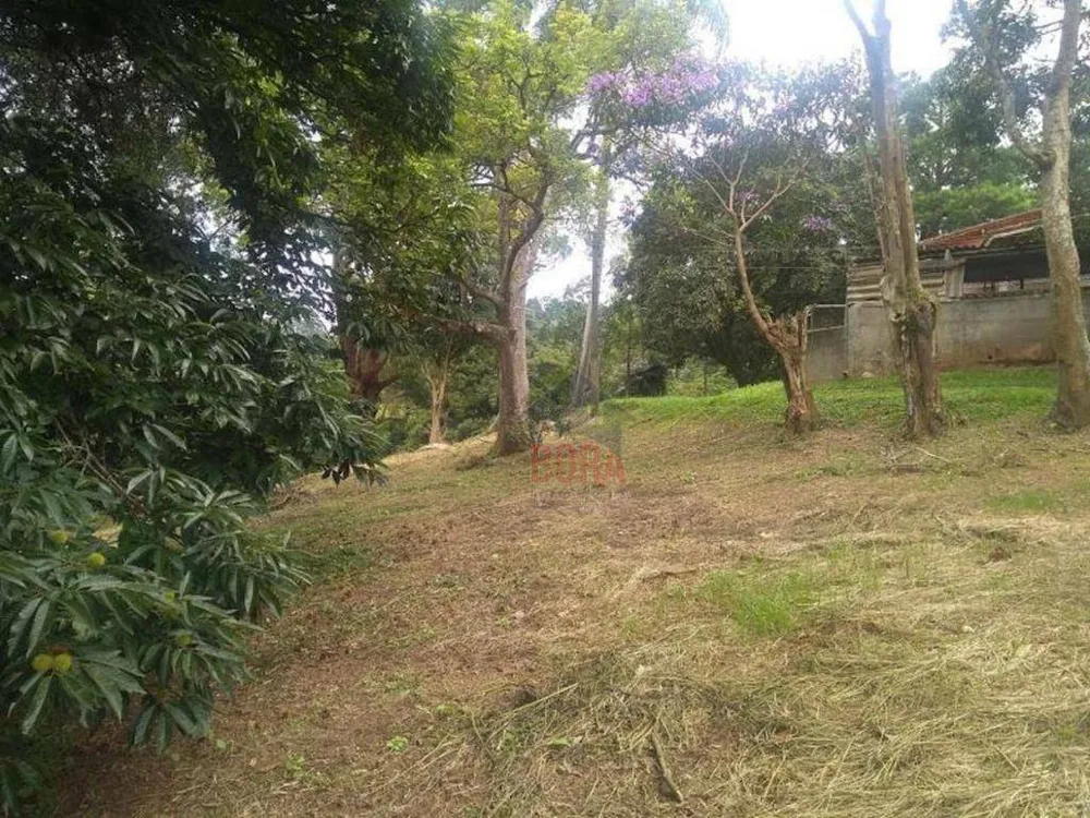 Terreno, 4 hectares - Foto 7