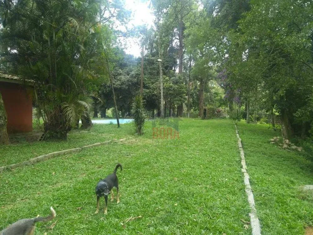 Terreno, 4 hectares - Foto 11