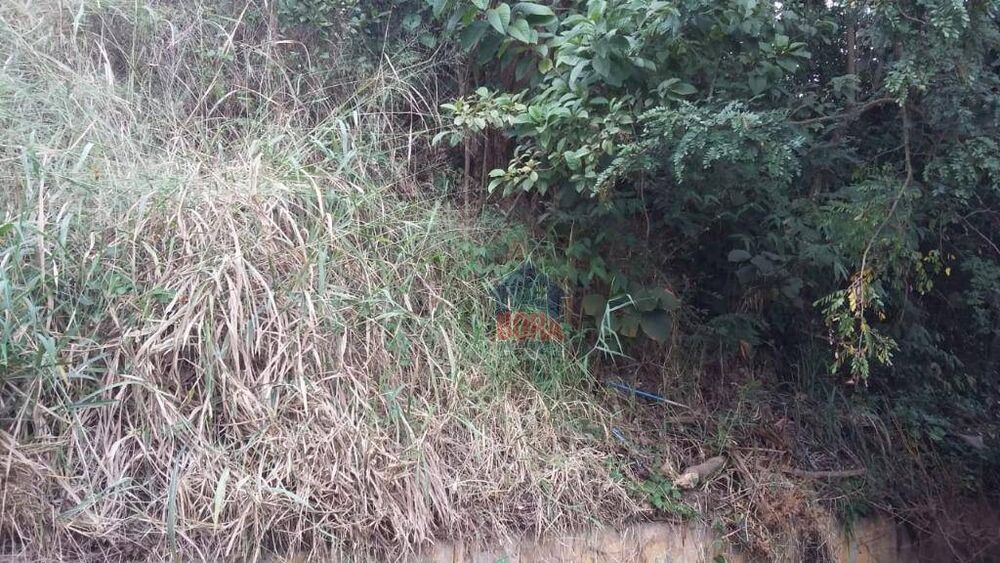 Terreno, 452 m² - Foto 2