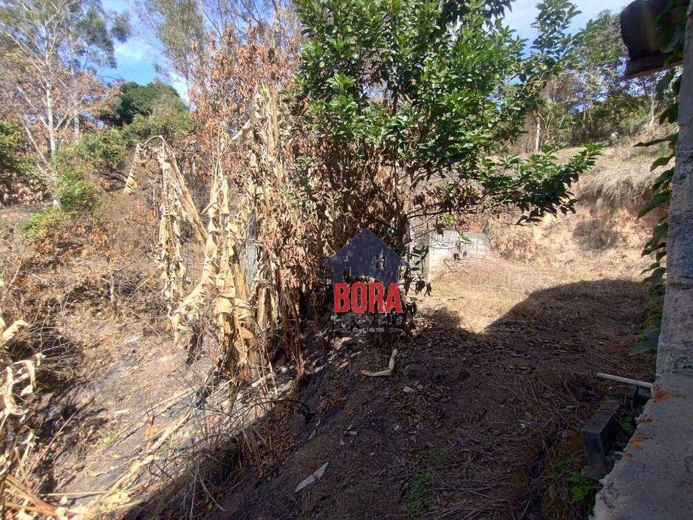 Chácara, 1 quarto, 5 hectares - Foto 3