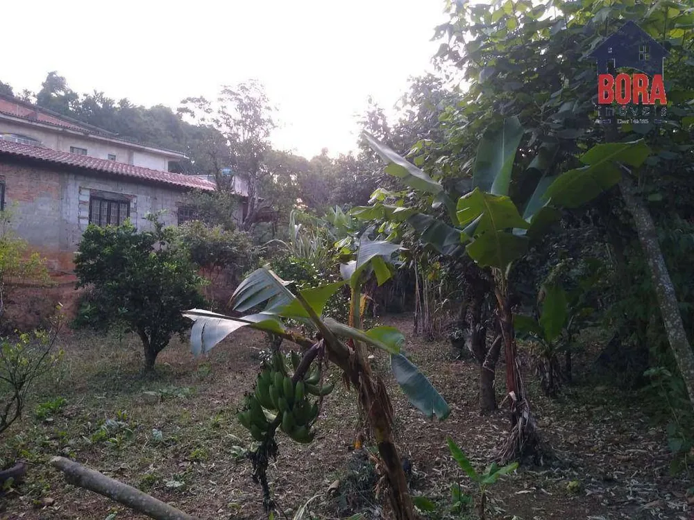 Terreno, 2000 m² - Foto 4