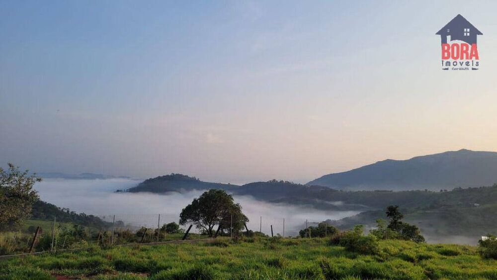 Chácara, 4 quartos, 6 hectares - Foto 4