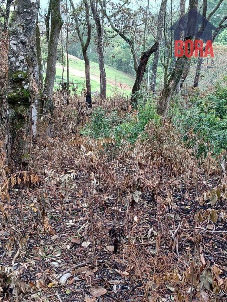 Terreno, 600 m² - Foto 2