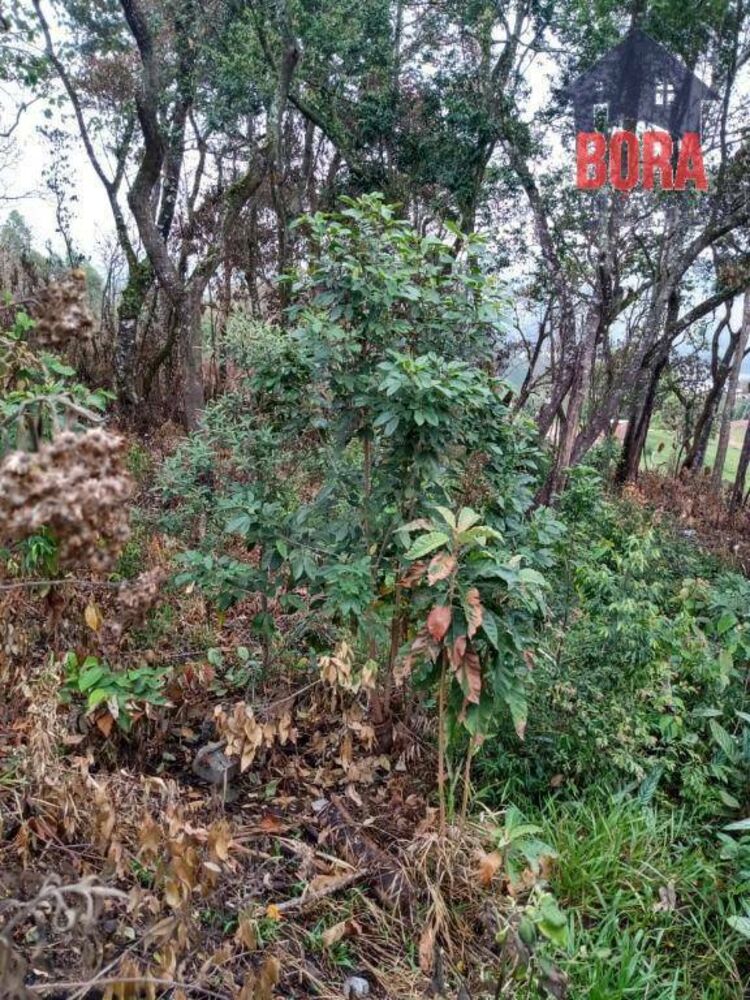Terreno, 600 m² - Foto 3