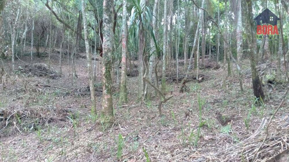 Terreno, 5000 m² - Foto 3