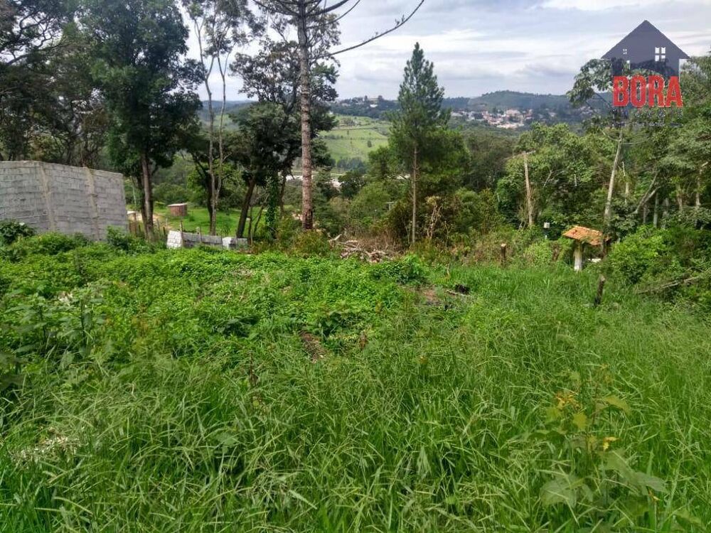 Terreno, 600 m² - Foto 3