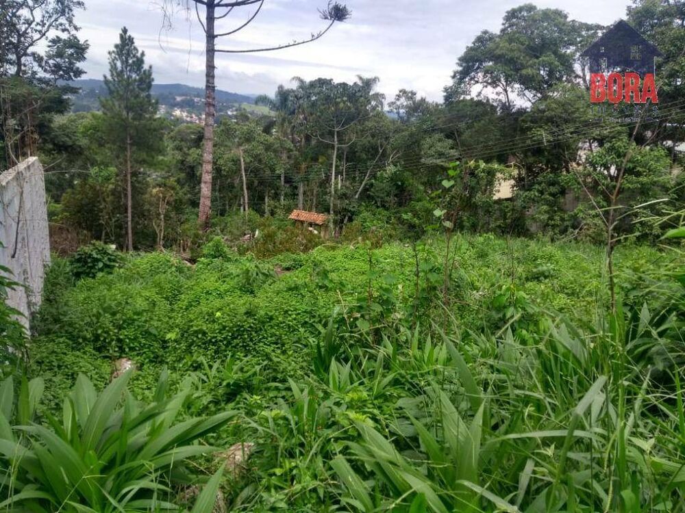 Terreno, 600 m² - Foto 2