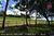 Fazenda, 17 hectares - Foto 3