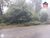 Terreno, 1200 m² - Foto 1