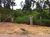 Terreno, 5000 m² - Foto 3