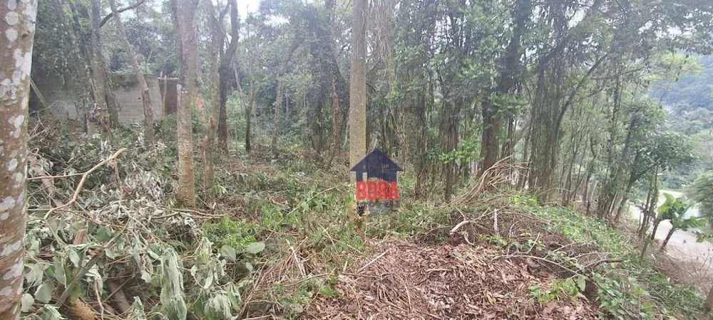 Terreno, 1000 m² - Foto 2