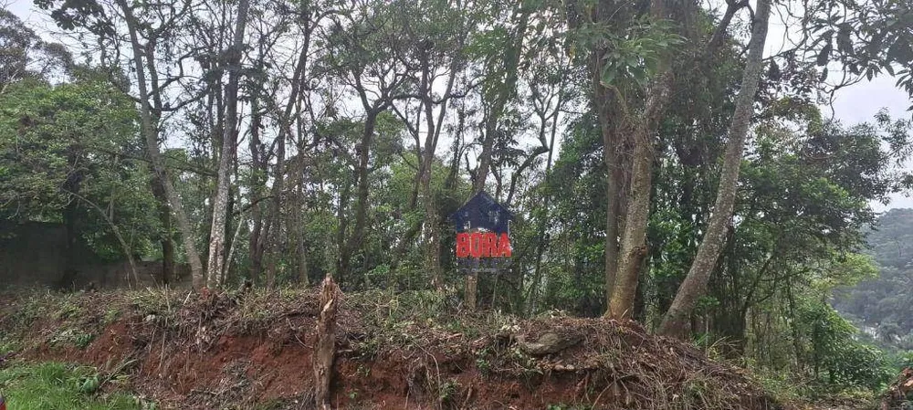 Terreno, 1000 m² - Foto 3
