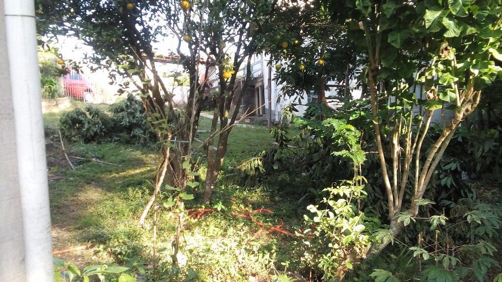 Chácara à venda com 3 quartos, 1620M2 - Foto 12