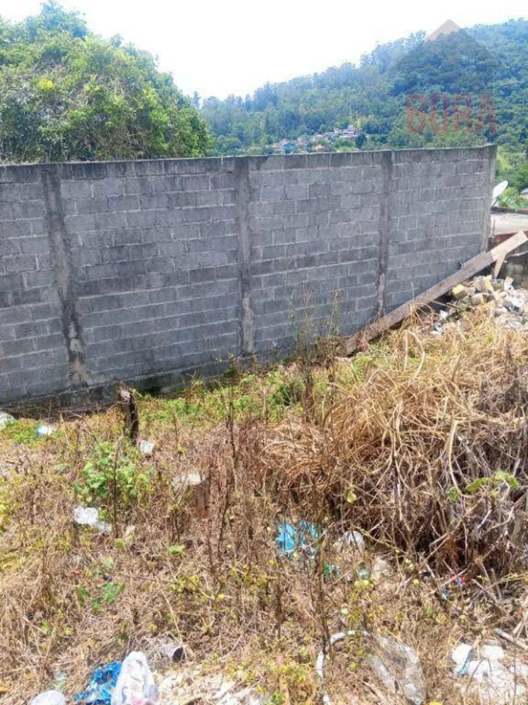 Terreno, 250 m² - Foto 4
