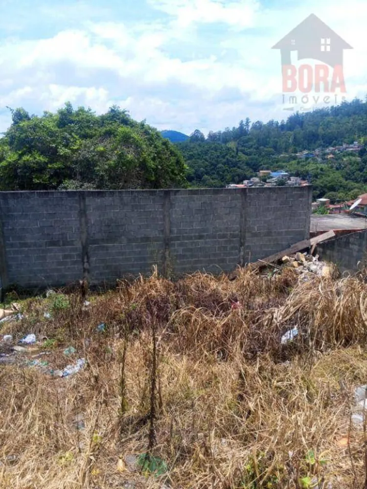Terreno, 250 m² - Foto 6