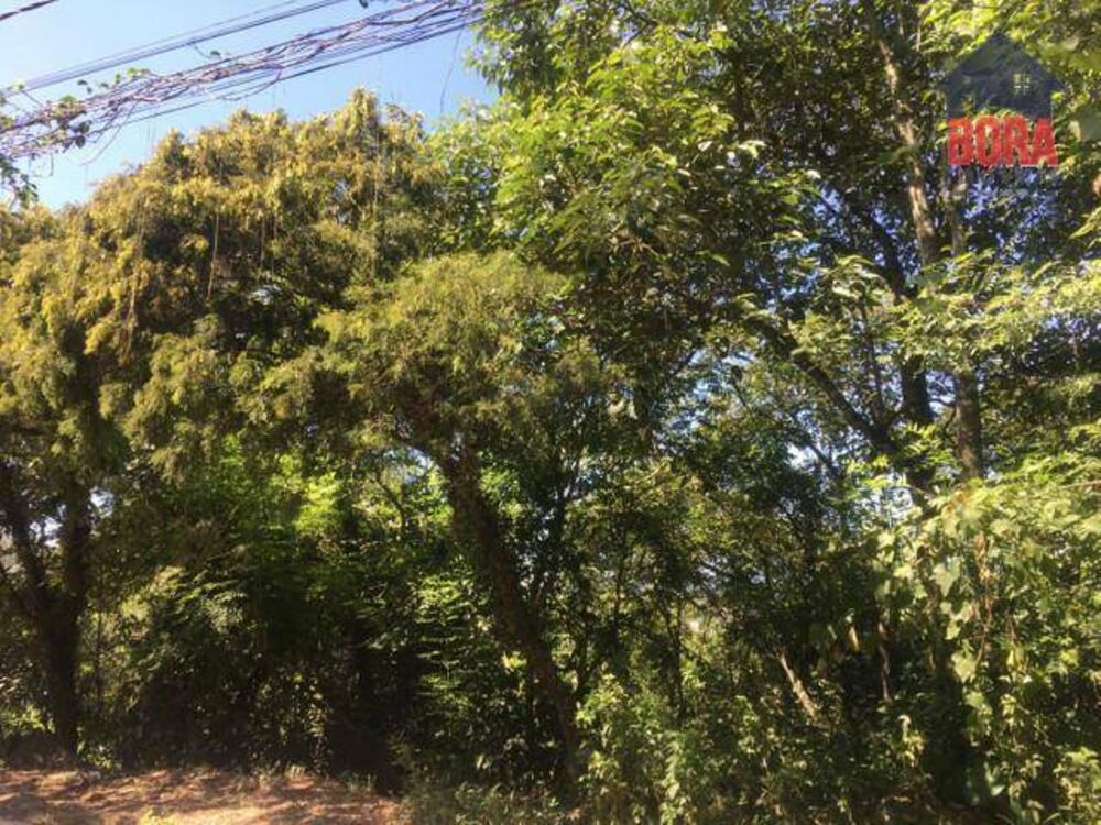 Terreno à venda, 400M2 - Foto 2
