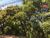 Terreno, 400 m² - Foto 2