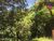 Terreno, 400 m² - Foto 1