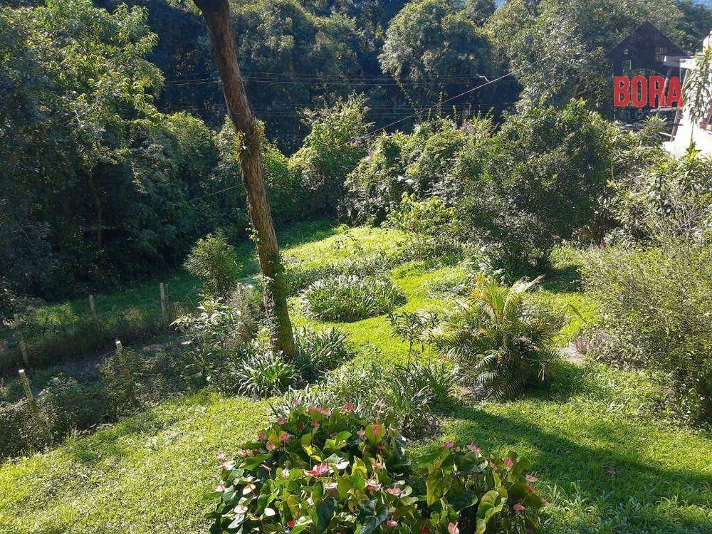 Chácara, 2 quartos, 3000 m² - Foto 3