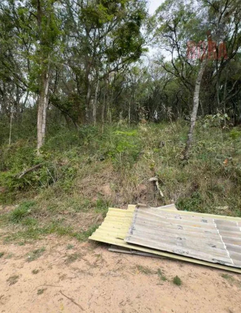 Terreno, 1000 m² - Foto 3