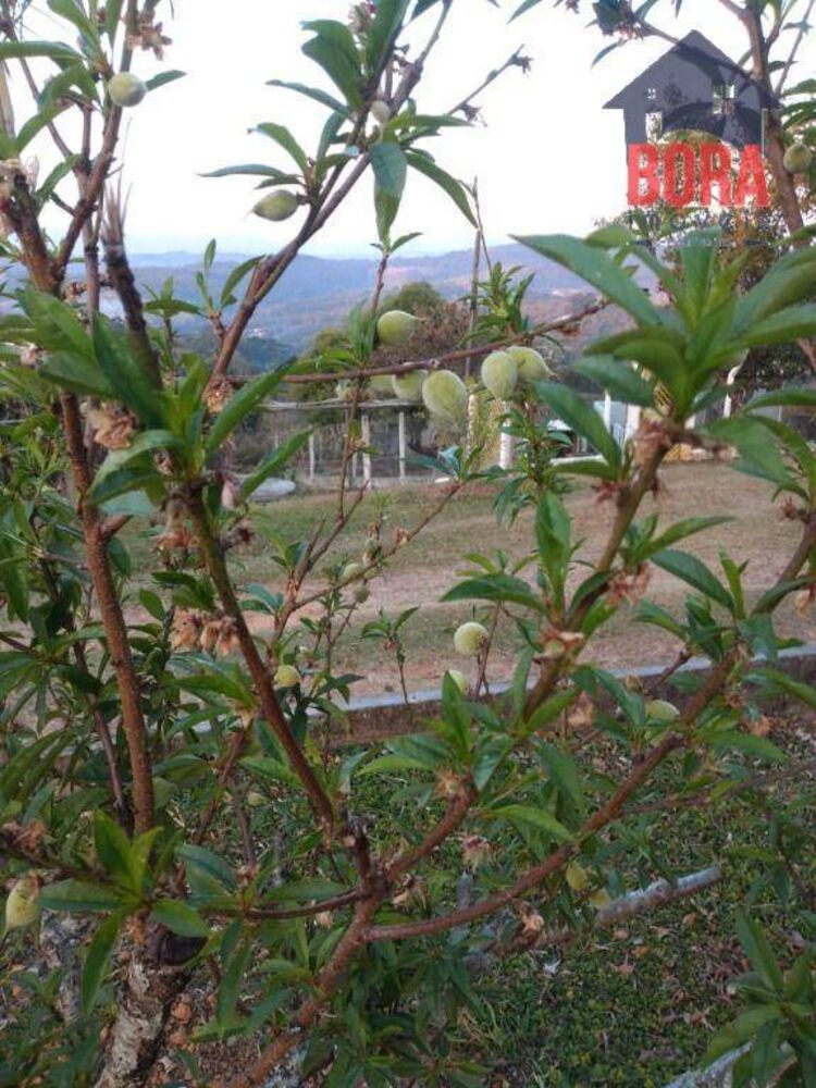 Terreno, 2 hectares - Foto 12