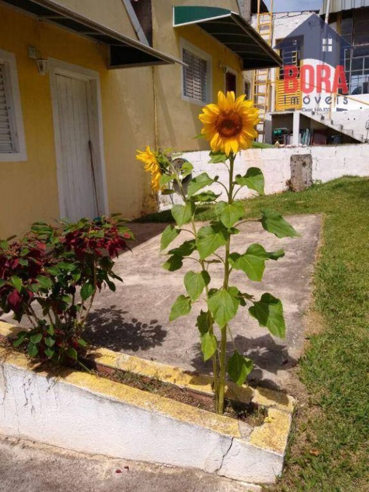 Terreno, 2 hectares - Foto 1