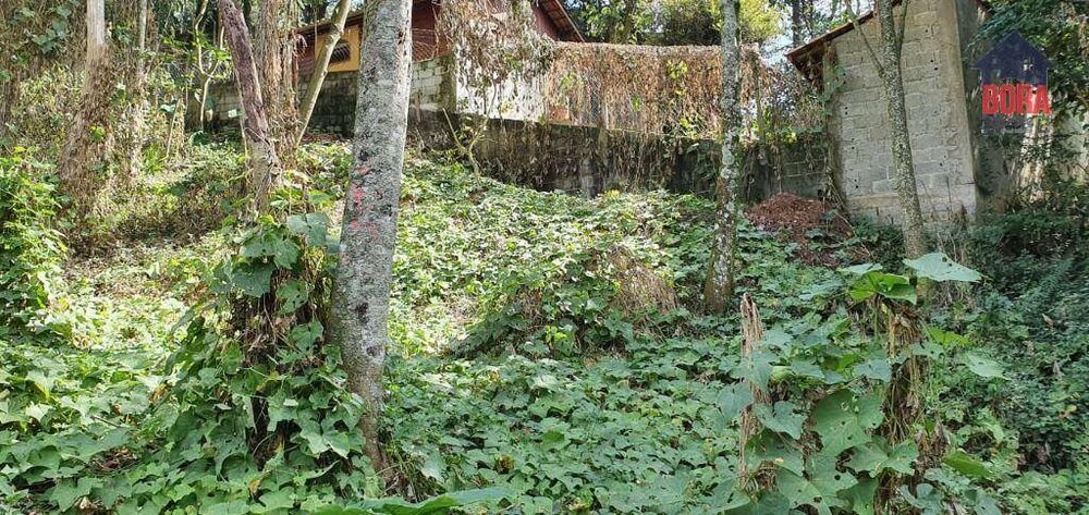 Terreno, 525 m² - Foto 2