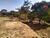 Terreno, 1200 m² - Foto 3