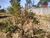 Terreno, 1200 m² - Foto 1