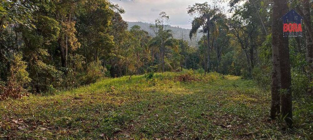 Terreno, 6700 m² - Foto 3