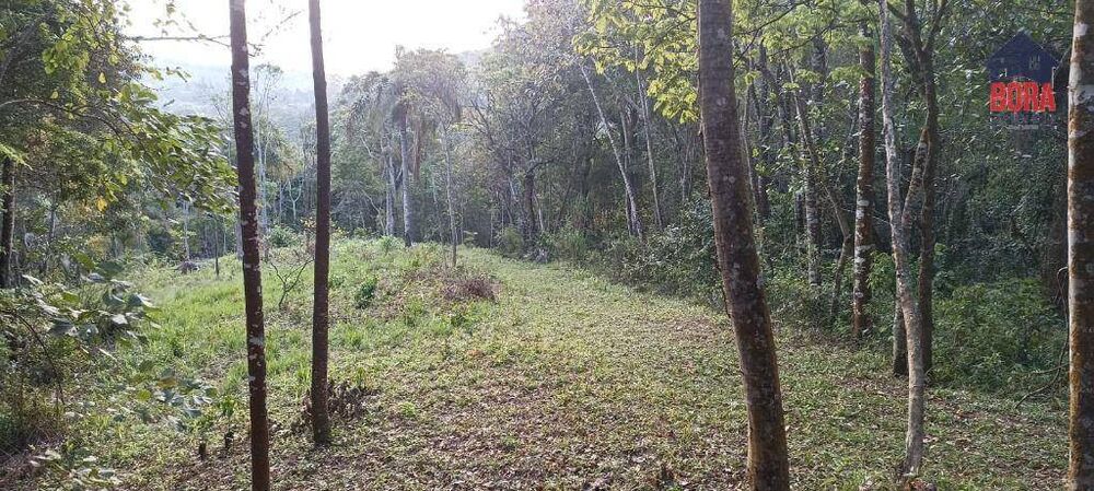 Terreno, 6700 m² - Foto 2