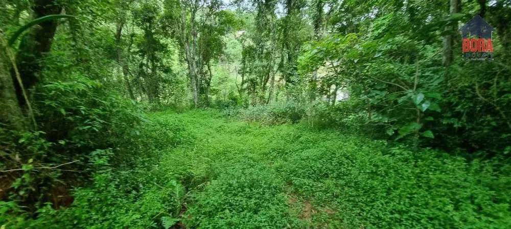 Terreno, 1 hectares - Foto 3