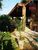 Casa, 3 quartos, 380 m² - Foto 1