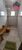 Casa, 2 quartos, 97 m² - Foto 2