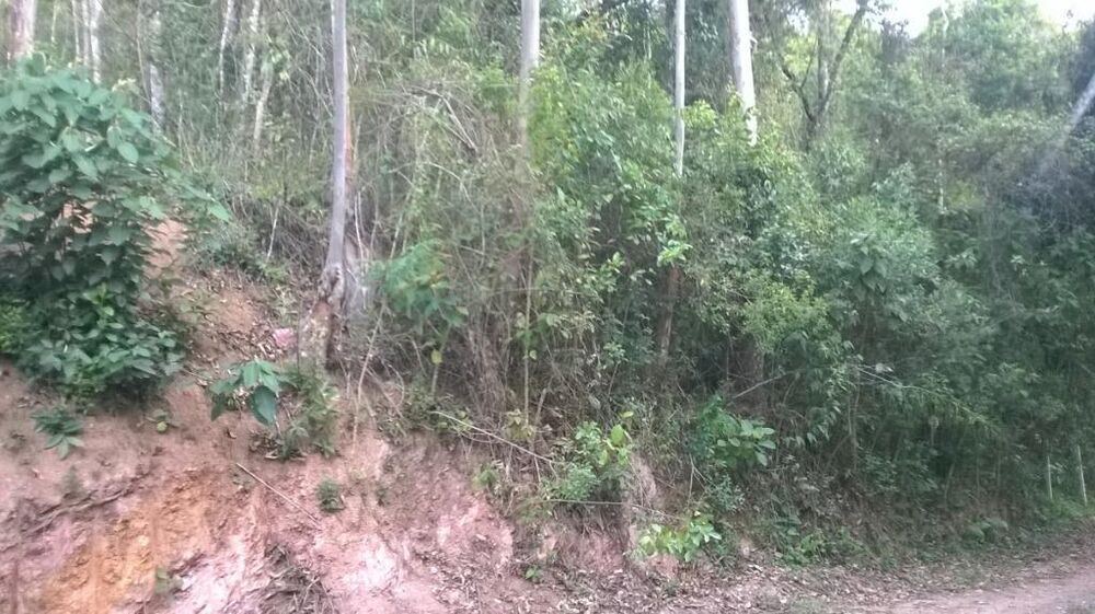 Loteamento e Condomínio, 1180 m² - Foto 3