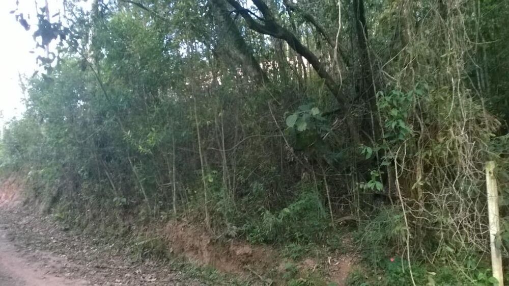 Loteamento e Condomínio, 1180 m² - Foto 1