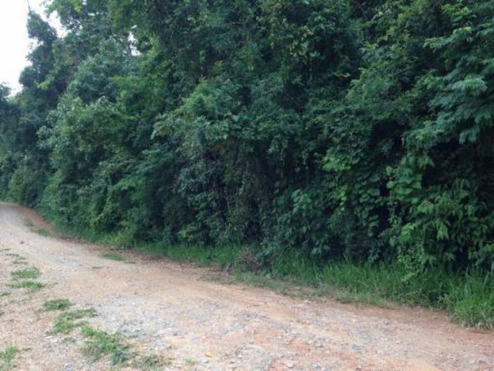 Loteamento e Condomínio, 700 m² - Foto 4