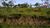 Terreno, 2000 m² - Foto 2